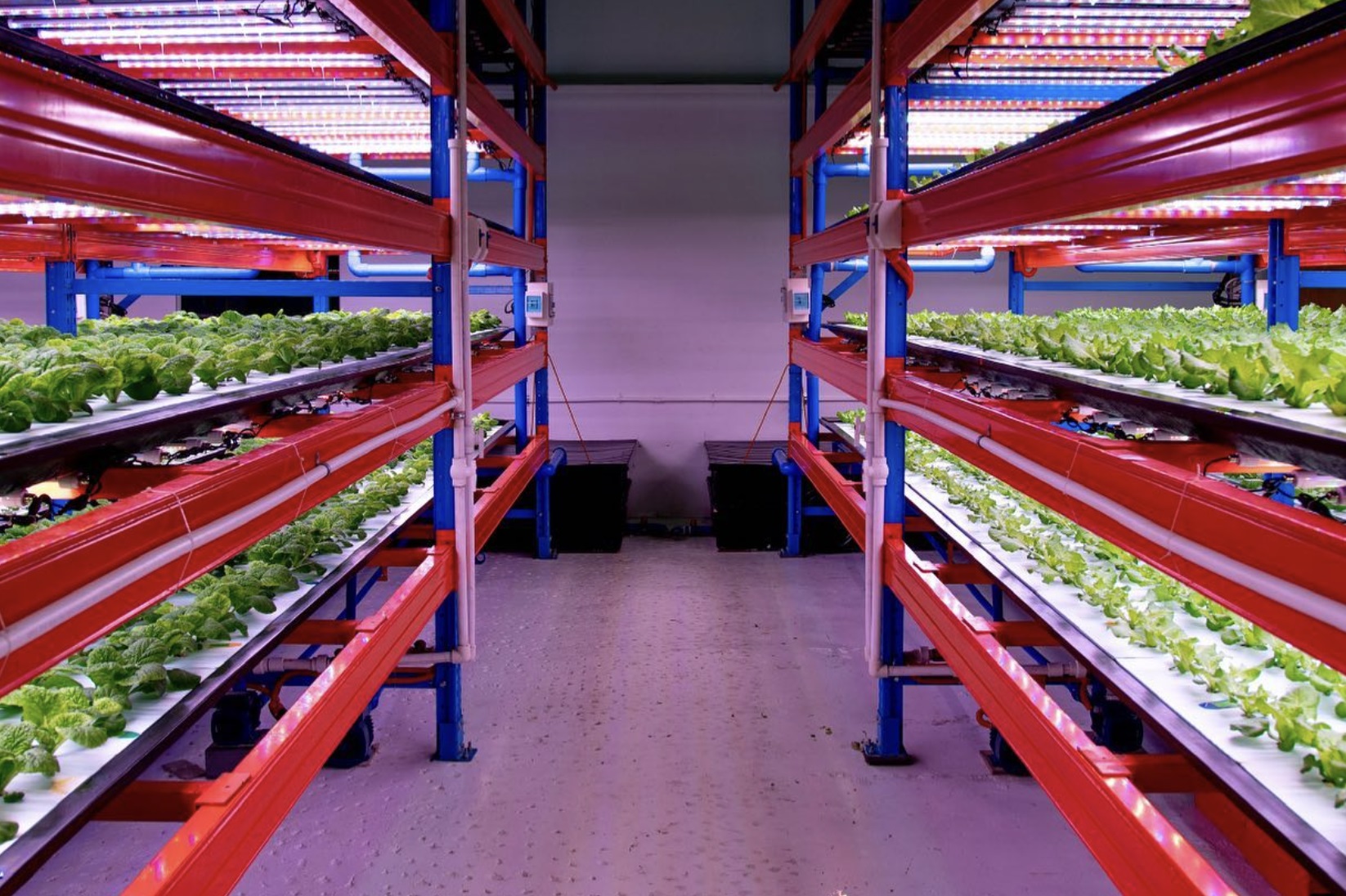 Herbivore Farms Philippines